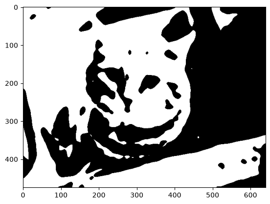 ../_images/samples_cucim_sample_13_1.png
