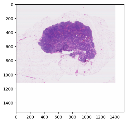 ../_images/samples_metadata_19_5.png