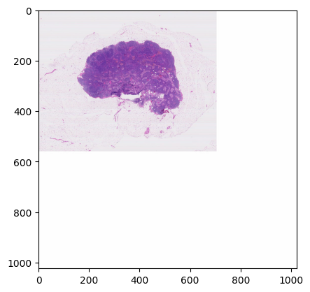 ../_images/samples_metadata_19_6.png