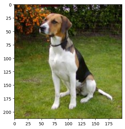 ../_images/samples_multi-image_13_4.png