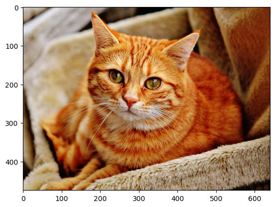 ../_images/samples_multi-image_13_6.png