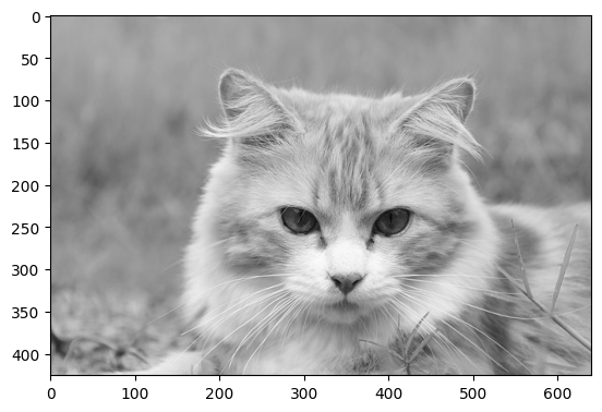 ../_images/samples_multi-image_15_1.png