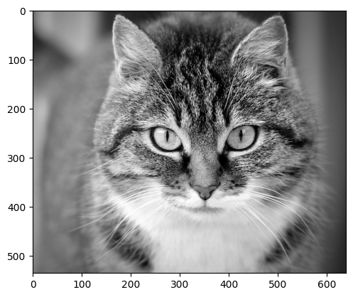 ../_images/samples_multi-image_15_4.png