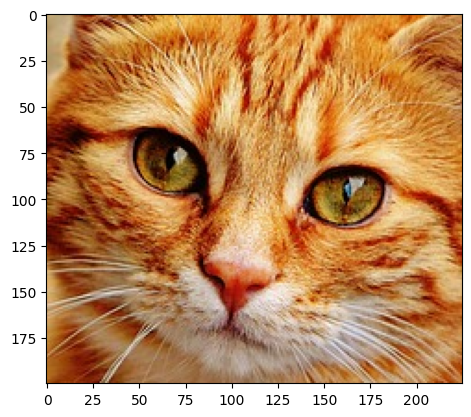 ../_images/samples_multi-image_17_2.png