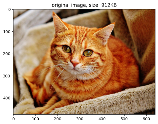 ../_images/samples_nvimgcodec_transcode_11_0.png
