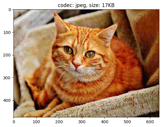 ../_images/samples_nvimgcodec_transcode_11_1.png
