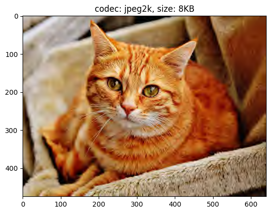../_images/samples_nvimgcodec_transcode_11_2.png
