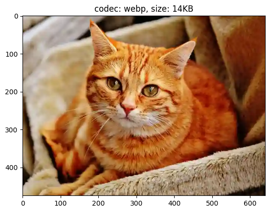 ../_images/samples_nvimgcodec_transcode_11_3.png