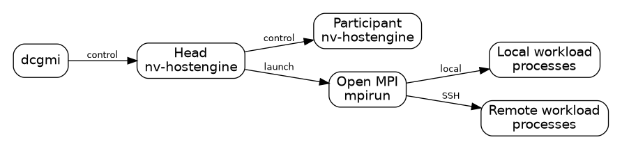 dcgmi connects to the head host engine, which controls participant host engines and uses Open MPI and SSH to launch workload processes.