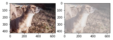 ../_images/examples_brightness_contrast_example_13_0.png