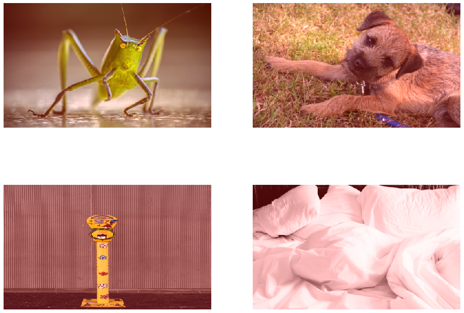 ../../../_images/examples_frameworks_tensorflow_tensorflow-dataset-inputs_33_0.png