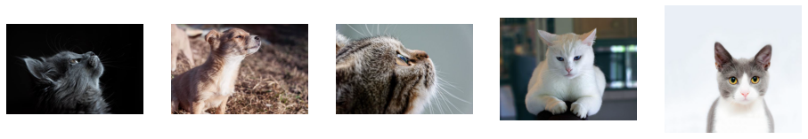 ../../../_images/examples_general_data_loading_parallel_external_source_58_0.png