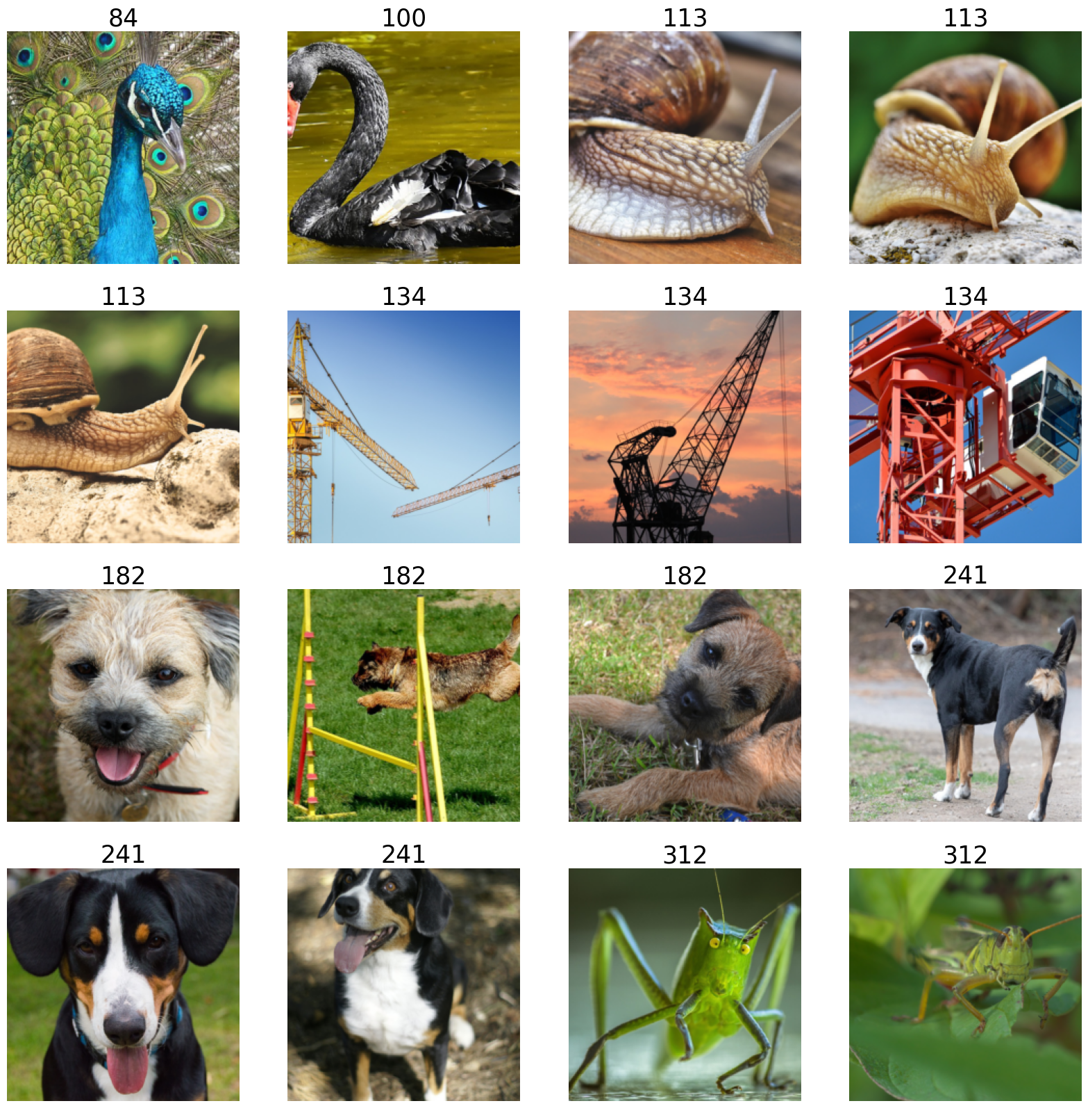 ../../../../_images/examples_general_data_loading_webdataset_reader_dynamic_mode_6_0.png