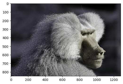 ../../../_images/examples_image_processing_augmentation_gallery_dynamic_mode_10_0.png