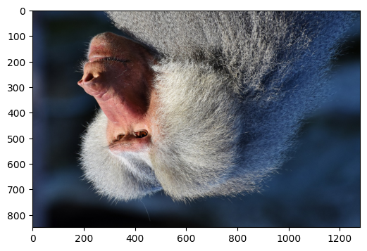 ../../../_images/examples_image_processing_augmentation_gallery_dynamic_mode_12_0.png