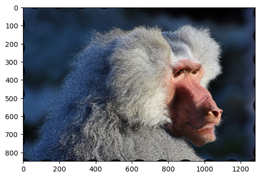 ../../../_images/examples_image_processing_augmentation_gallery_dynamic_mode_4_0.png