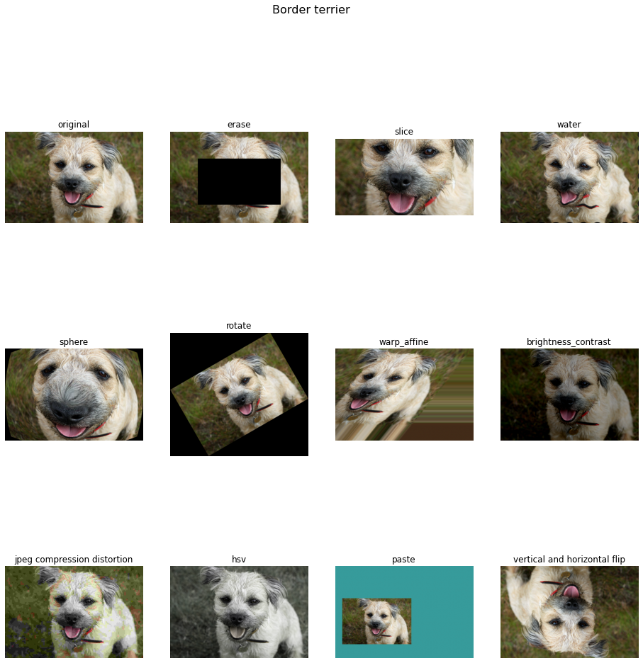 ../../../_images/examples_image_processing_augmentation_gallery_pipeline_mode_4_0.png