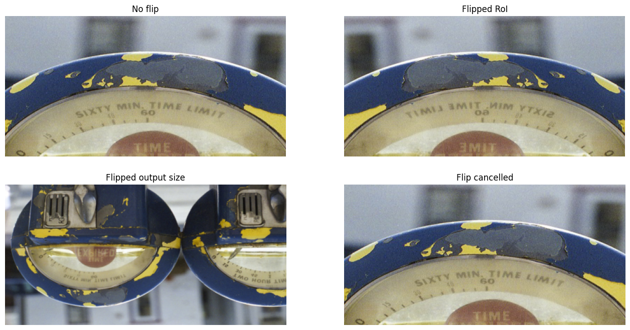 ../../../_images/examples_image_processing_resize_dynamic_mode_18_0.png