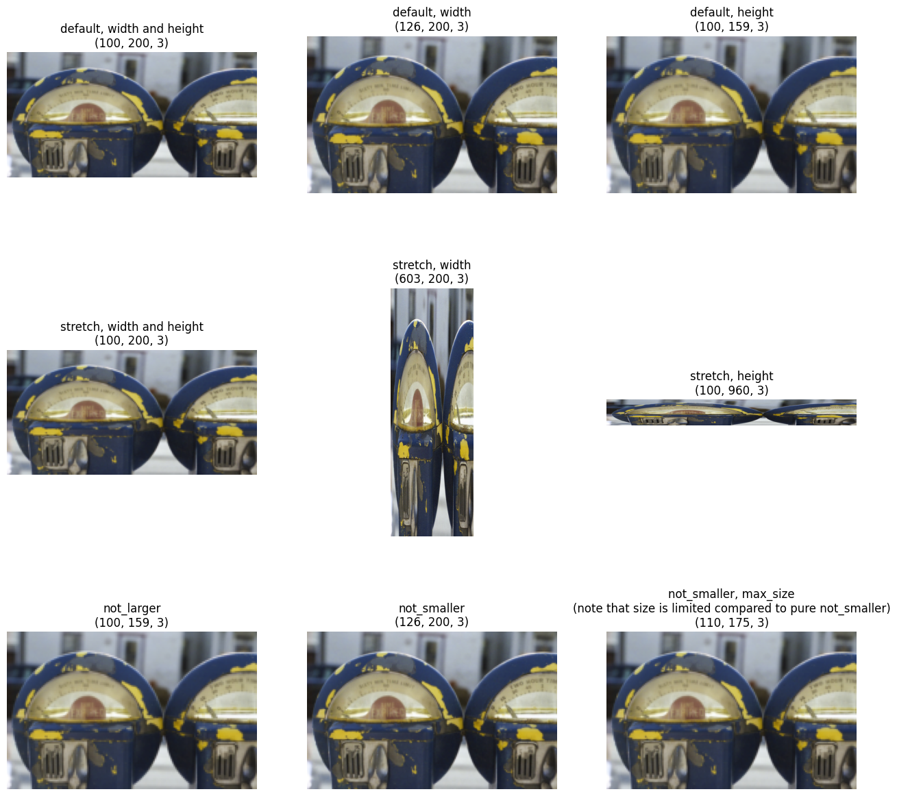 ../../../_images/examples_image_processing_resize_dynamic_mode_9_0.png