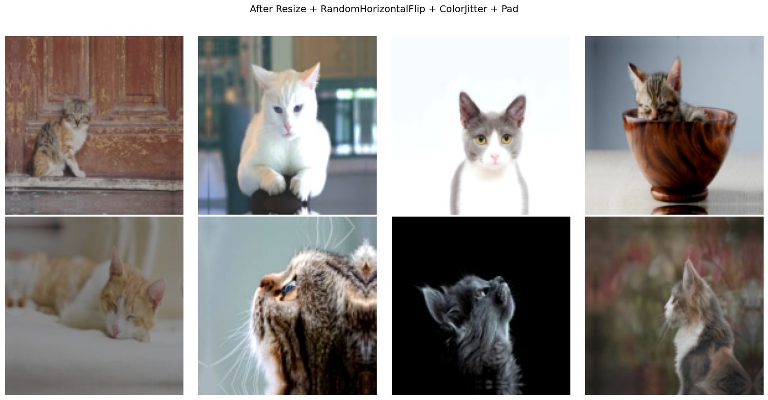 ../../_images/examples_getting_started_torchvision_api_12_0.png