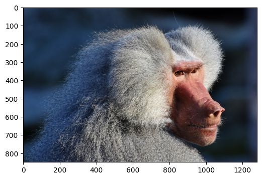 ../../../_images/examples_image_processing_augmentation_gallery_dynamic_mode_1_0.png