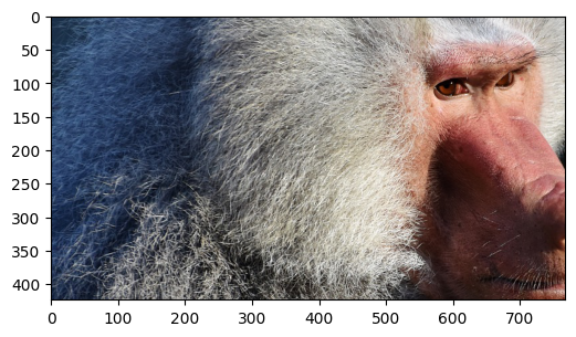 ../../../_images/examples_image_processing_augmentation_gallery_dynamic_mode_3_0.png