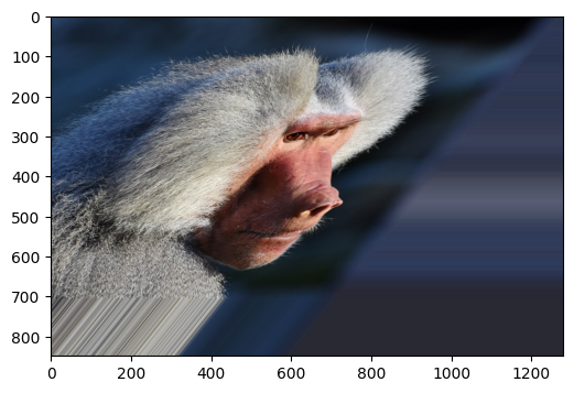 ../../../_images/examples_image_processing_augmentation_gallery_dynamic_mode_7_0.png