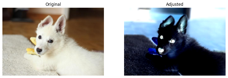 ../../../_images/examples_image_processing_brightness_contrast_dynamic_mode_4_0.png