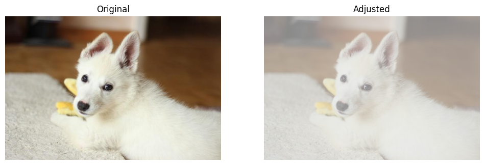../../../_images/examples_image_processing_brightness_contrast_dynamic_mode_6_0.png
