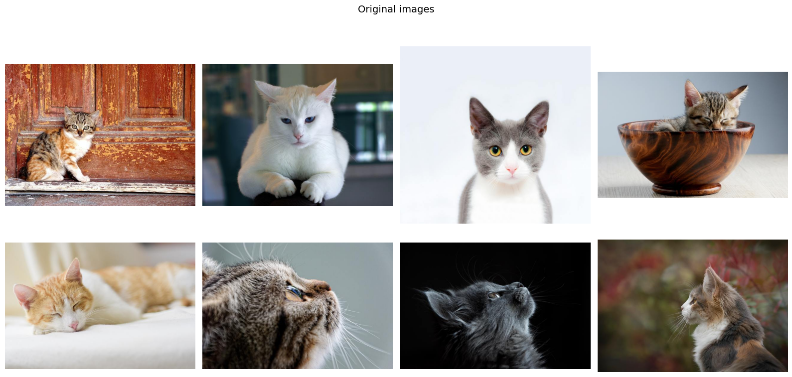 ../../_images/examples_getting_started_torchvision_api_8_0.png