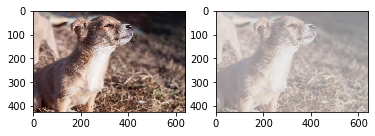 ../../../_images/examples_image_processing_brightness_contrast_pipeline_mode_13_0.png