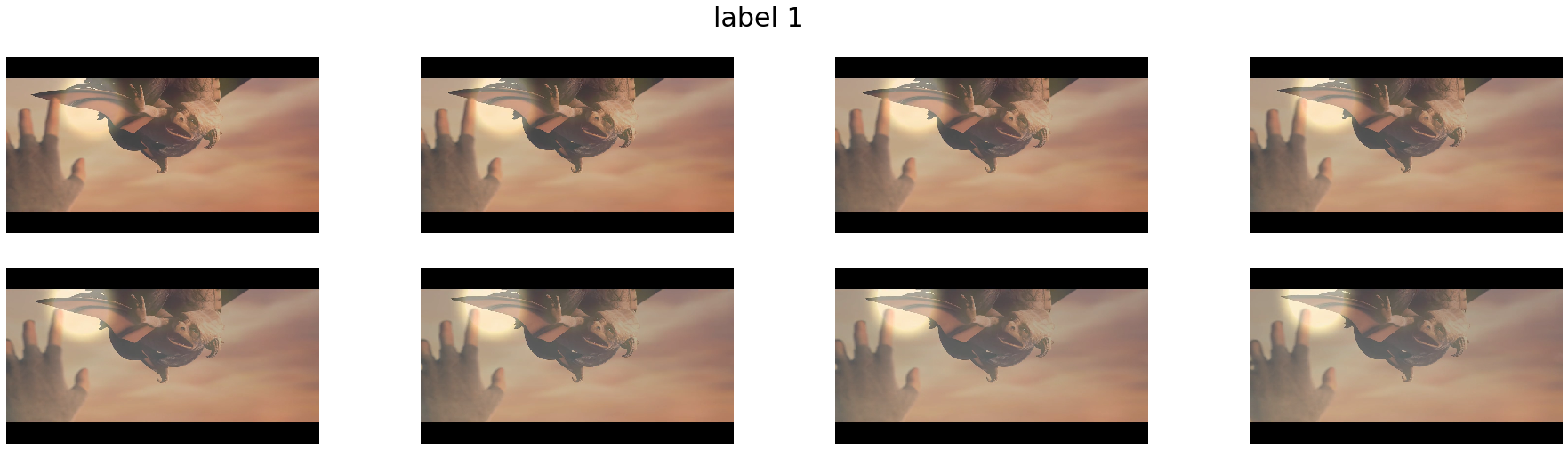 ../../../../_images/examples_sequence_processing_video_video_reader_label_pipeline_mode_18_4.png