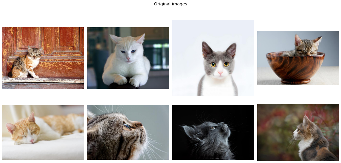../../_images/examples_getting_started_torchvision_api_11_0.png