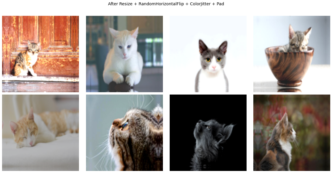 ../../_images/examples_getting_started_torchvision_api_15_0.png