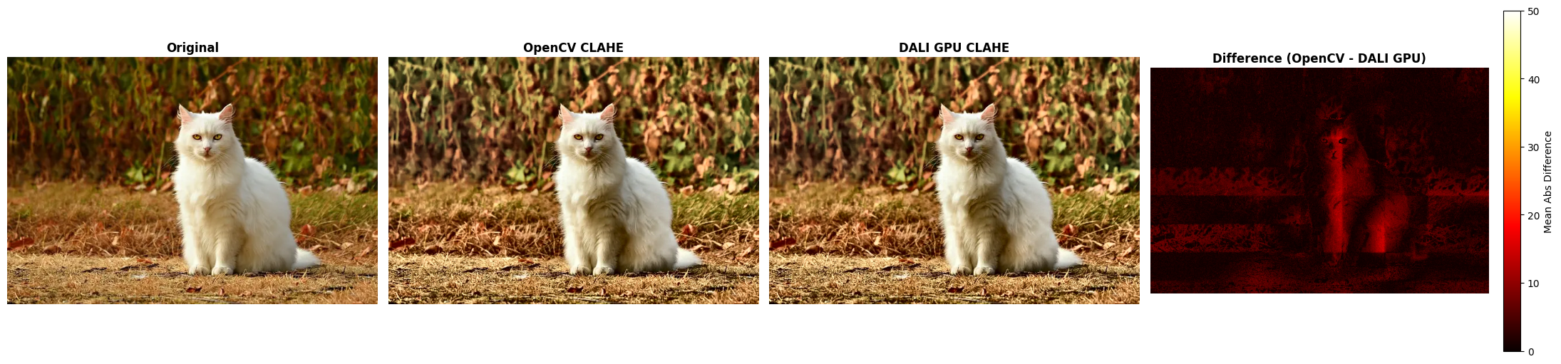 ../../../_images/examples_image_processing_clahe_dynamic_mode_23_0.png