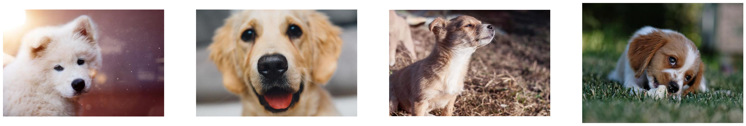 ../../../_images/examples_image_processing_decoder_dynamic_mode_4_0.png
