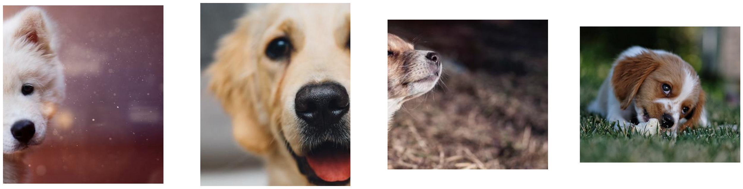 ../../../_images/examples_image_processing_decoder_dynamic_mode_6_0.png