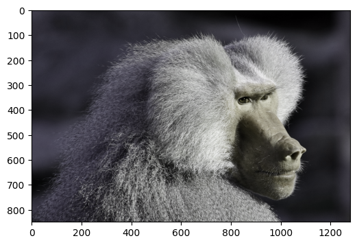 ../../_images/examples_dynamic_mode_augmentation_gallery_10_0.png