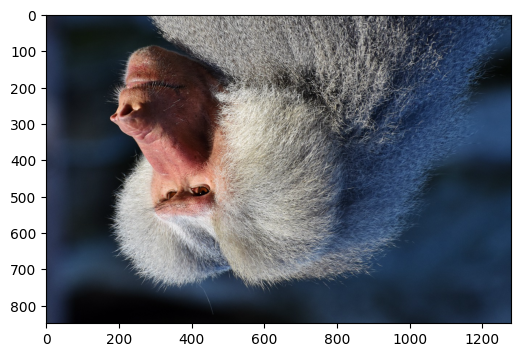 ../../_images/examples_dynamic_mode_augmentation_gallery_12_0.png