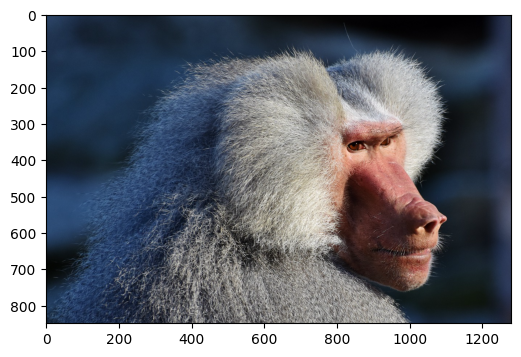 ../../_images/examples_dynamic_mode_augmentation_gallery_1_0.png