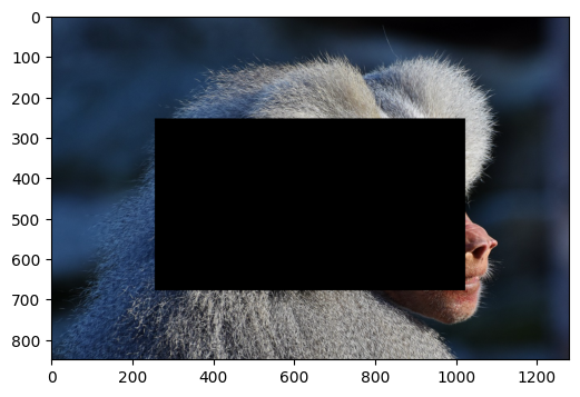 ../../_images/examples_dynamic_mode_augmentation_gallery_2_0.png