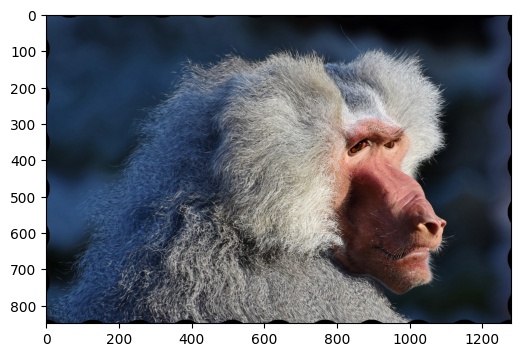 ../../_images/examples_dynamic_mode_augmentation_gallery_4_0.png
