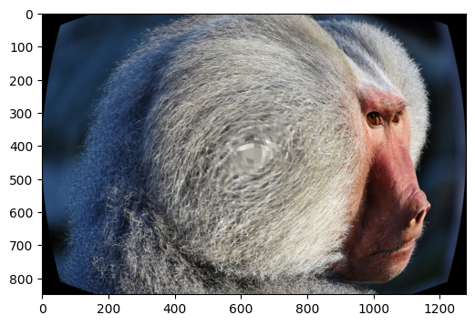 ../../_images/examples_dynamic_mode_augmentation_gallery_5_0.png