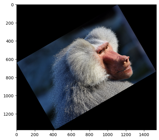 ../../_images/examples_dynamic_mode_augmentation_gallery_6_0.png