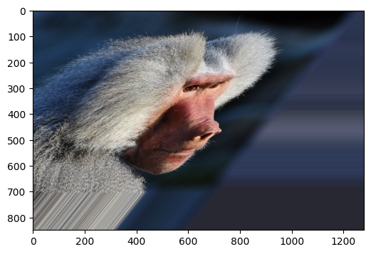 ../../_images/examples_dynamic_mode_augmentation_gallery_7_0.png