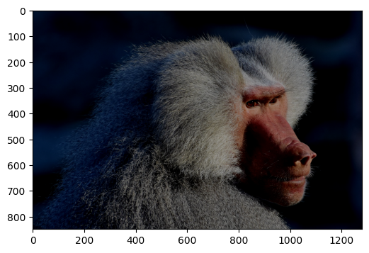 ../../_images/examples_dynamic_mode_augmentation_gallery_8_0.png