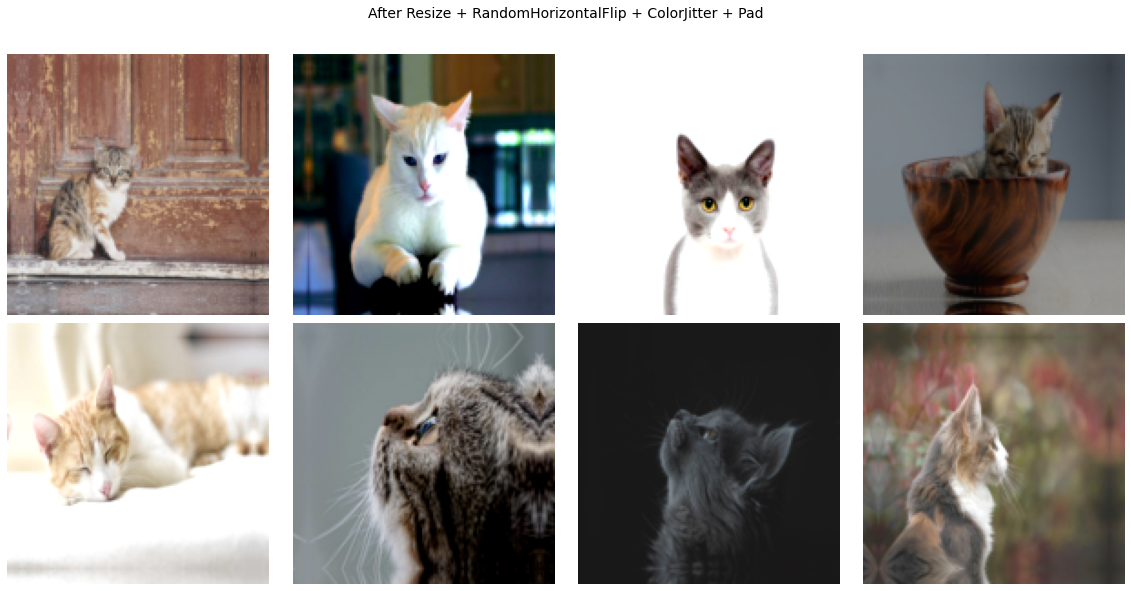 ../_images/torchvision_overview_14_0.png