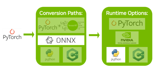 Exporting ONNX from PyTorch