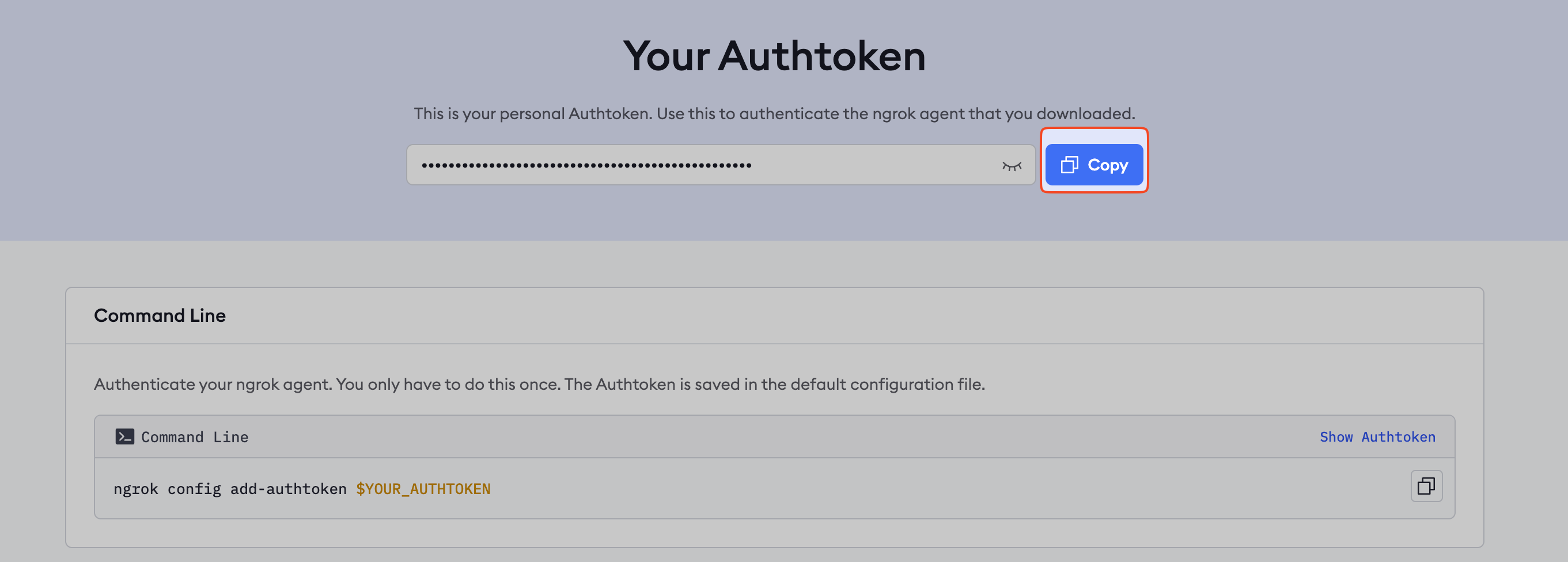 get ngrok authtoken 0.8x