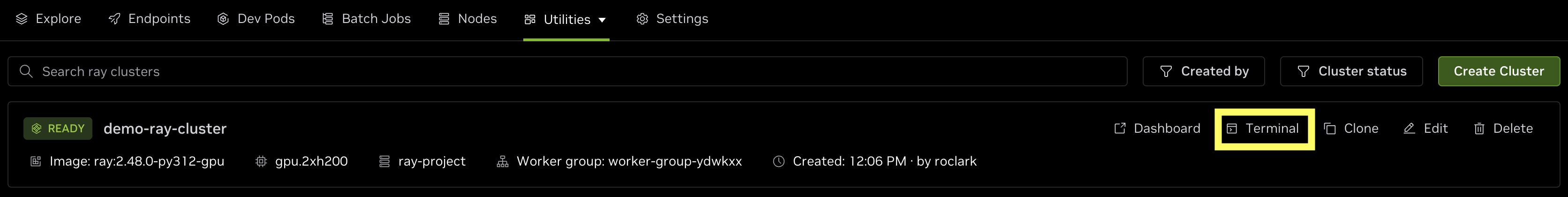 ray-cluster-terminal-button